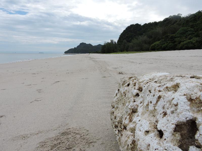 Lone Pine, Penang, A Tribute Portfolio Resort Бату-Ферринги Экстерьер фото